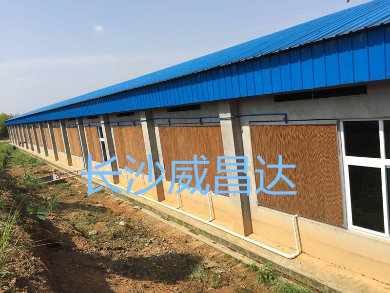 夏季燒烤模式開啟，您的養(yǎng)殖畜禽舍降溫了嗎？湖南水簾風(fēng)機(jī)專業(yè)為養(yǎng)殖畜禽舍降溫