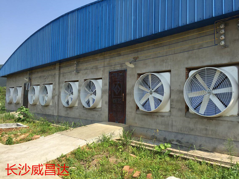車間降溫設備水簾風機效果好，適用廣泛